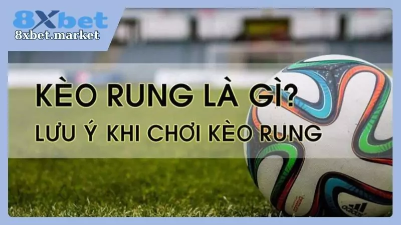 Lưu ý đối với việc đặt cược kèo rung 8xbet