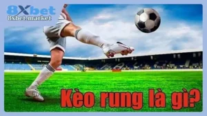 Tìm hiểu về kèo rung 8xbet